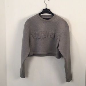 Alexander Wang collaboration with H&M crop top size small